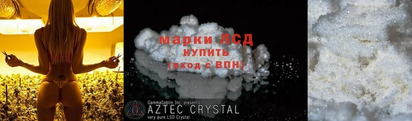 spice Алзамай