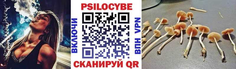 где найти наркотики Кирс Галлюциногенные грибы MAGIC MUSHROOMS